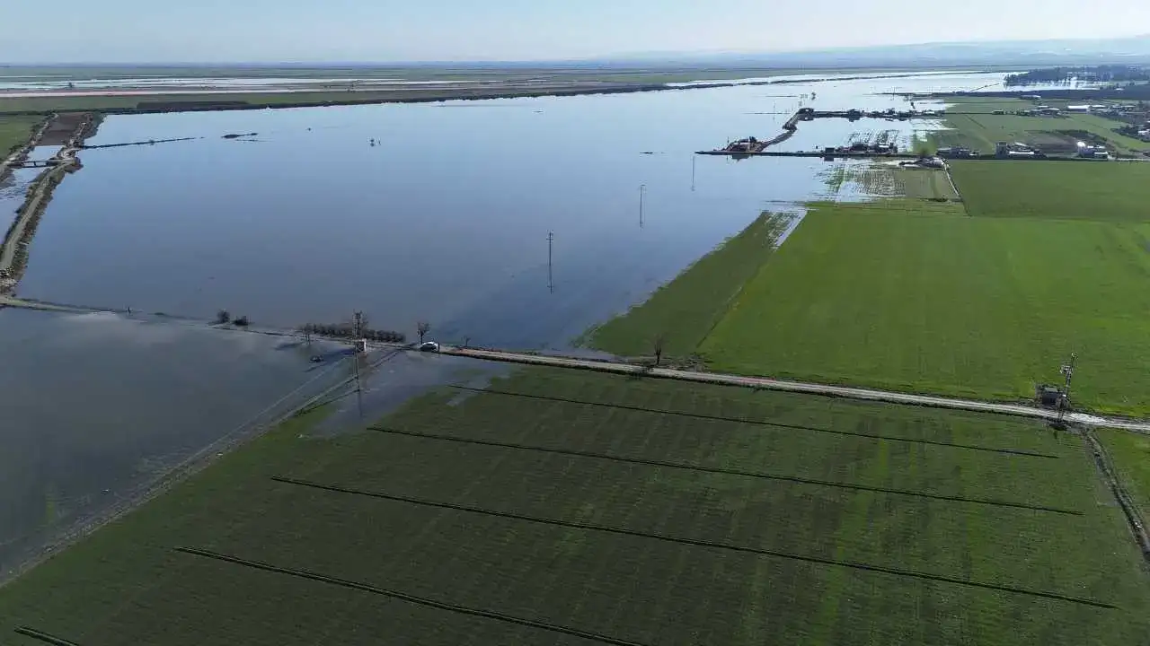Hatay’da Çiftçinin Kaderi Değişmedi: Kuraklıktan Sonra Sel Vurdu! 4